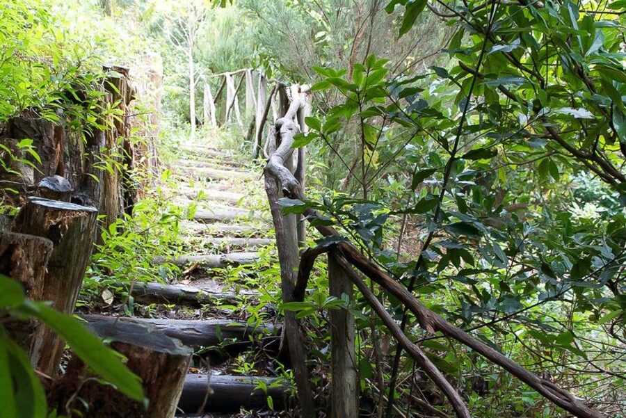 Levada Walk and Caldeirao Verde Waterfalls: Madeira - FAQ