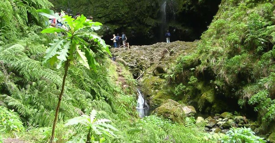 Levada Walk and Caldeirao Verde Waterfalls: Madeira - From pickup in Funchal to the Queimadas forest start