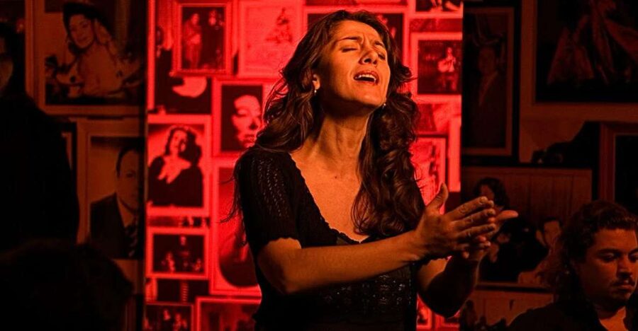 Lisbon: Alfama Tour and Live Fado with Traditional Dinner - Live fado in the house: where the music’s mood takes over