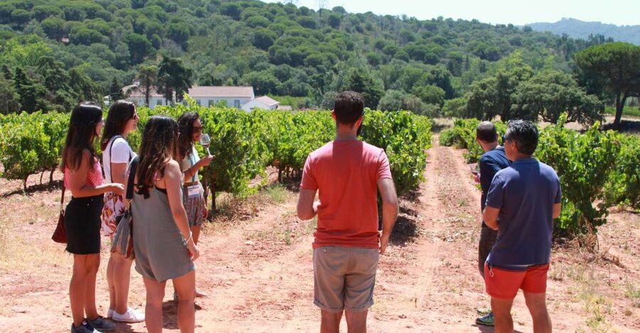 Lisbon: Arrábida and Sesimbra Day Trip with Wine - Key Highlights You’ll Actually Remember