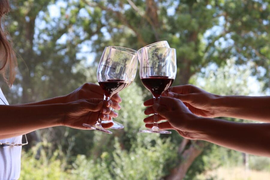 Lisbon: Arrábida and Sesimbra Day Trip with Wine - Palmela Moorish Castle Views and a Family Wine Estate Stop