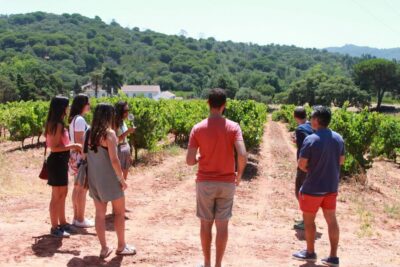 Arrábida and Sesimbra Day Trip with Wine