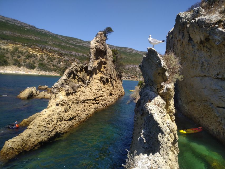 Lisbon: Arrábida Kayak and Coasteering Adventure Tour - Optional Cliff Jumps, Caving Moments, and Snorkeling Around Anicha Island