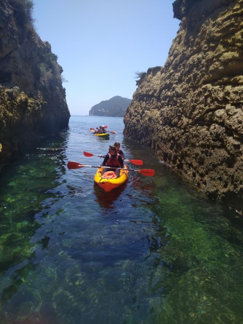 Lisbon: Arrábida Kayak and Coasteering Adventure Tour - Getting Started at Lisbon Zoo: The Morning That Sets the Tone