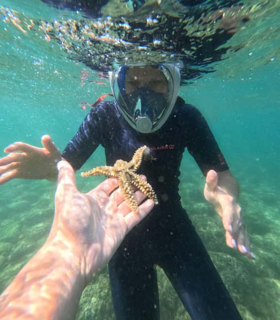 Lisbon: Arrábida Kayak & Wild Beach Snorkeling Pickup Option - Duration and pacing: how long this will take you from start to finish