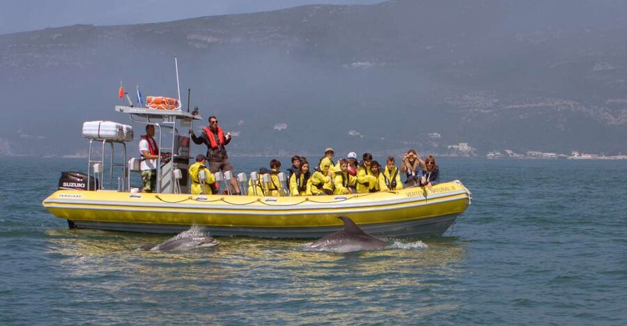 Lisbon: Arrábida Natural Park Dolphin Watching Boat Tour - Key things I’d prioritize before you go