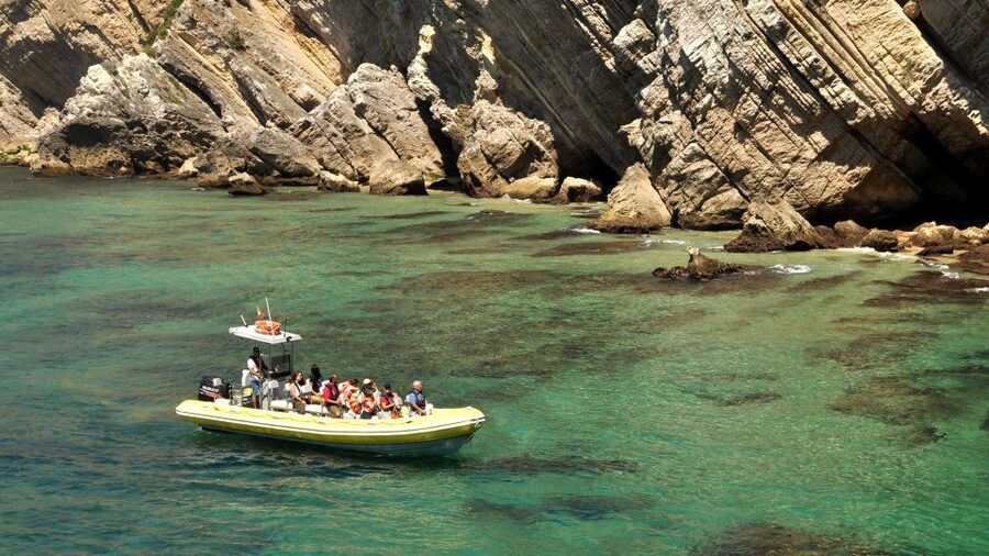 Lisbon: Arrábida Natural Park Dolphin Watching Boat Tour - Should you book it?
