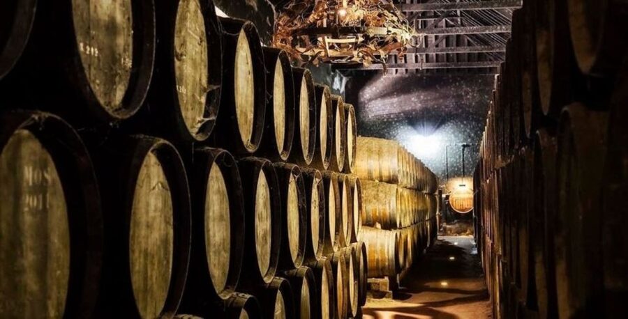 Lisbon: Arrábida & Sesimbra w/ Palmela Castle & Wine Tasting - Price and logistics: what you actually get for $85