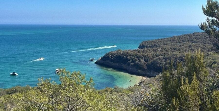 Lisbon: Arrábida & Sesimbra w/ Palmela Castle & Wine Tasting - Sesimbra free time: make lunch your own