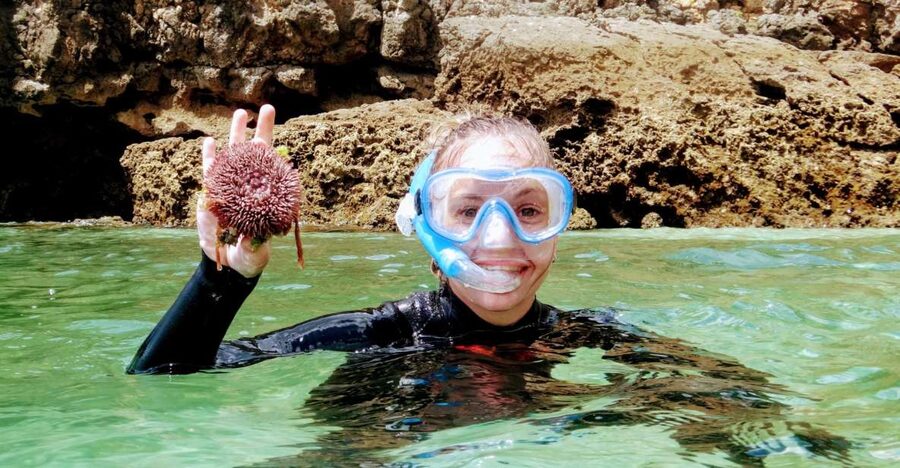 Lisbon: Arrábida Snorkeling Adventure - Key things to know before you go