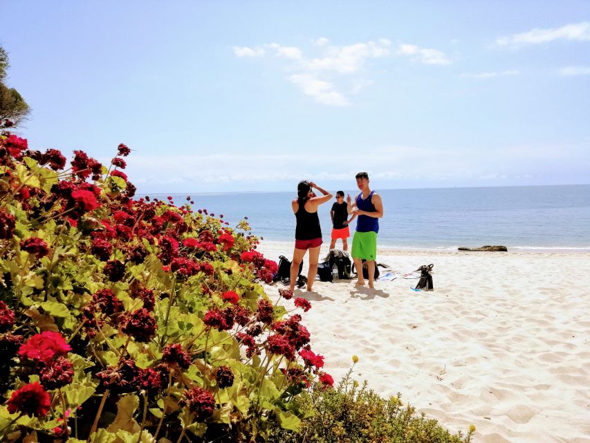 Lisbon: Arrábida Snorkeling Adventure - Safety and sea conditions: plan for the water to decide the day