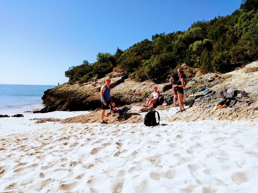 Lisbon: Arrábida Snorkeling Adventure - Arrábida in 5 hours, coastal hikes plus real snorkel time