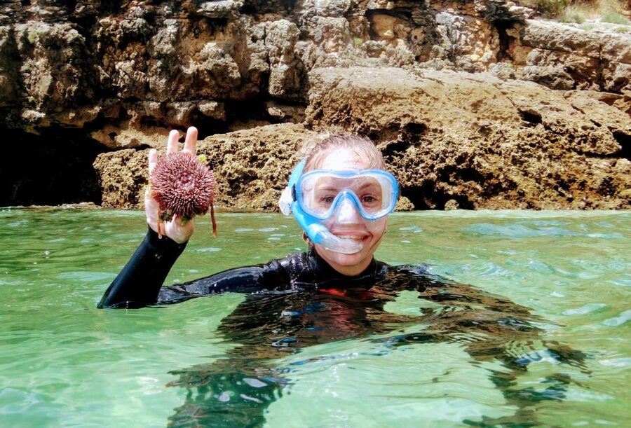 Lisbon: Arrábida Snorkeling Adventure - The ride to the coast: why the timing matters