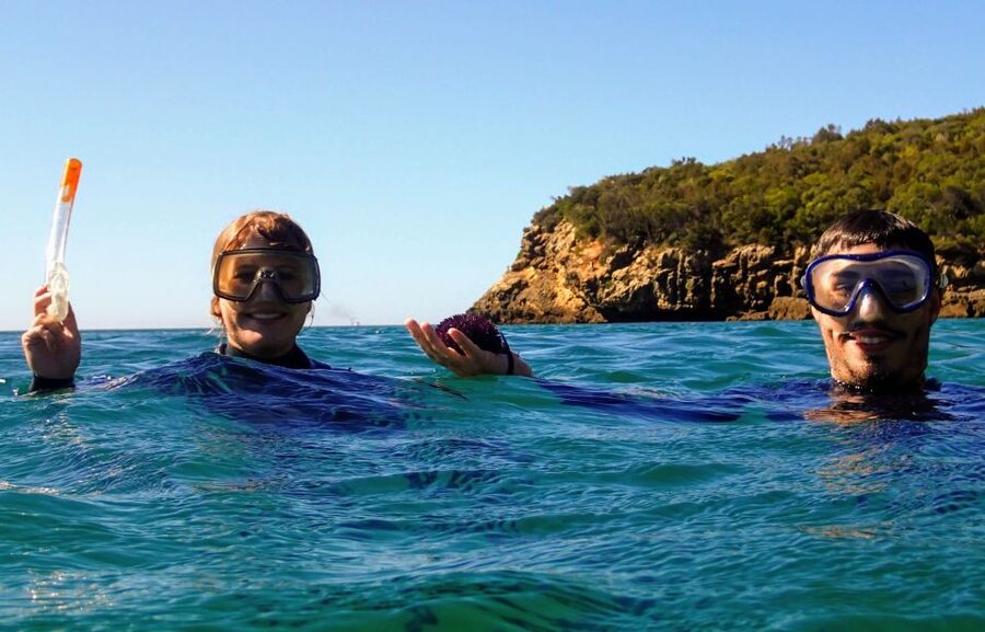 Lisbon: Arrábida Snorkeling Adventure - Fossil cliff viewpoints: what you’ll see before you even snorkel