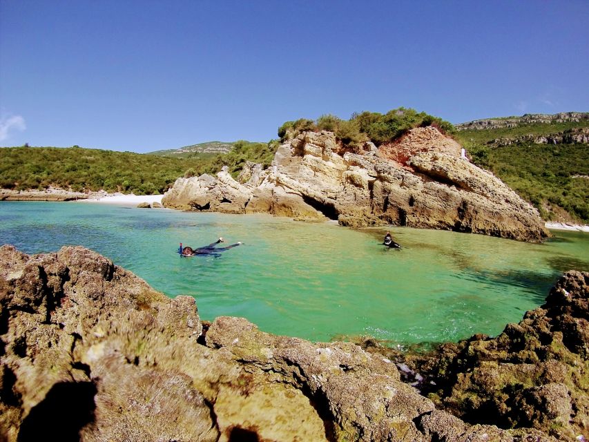 Lisbon: Arrábida Snorkeling Adventure - Price and value: why $94 can make sense for a half-day