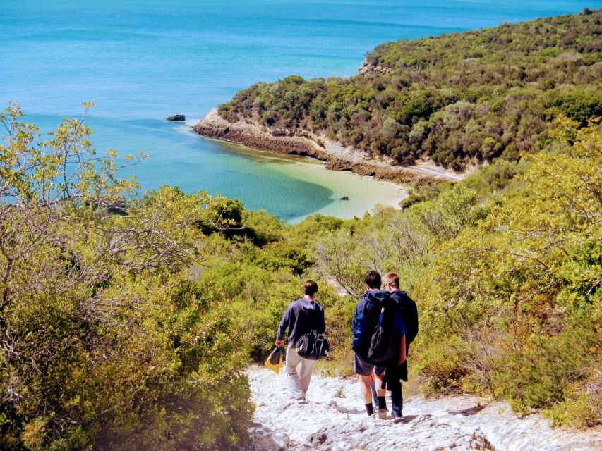 Lisbon: Arrábida Snorkeling Adventure - Where you start in Lisbon: the Lisbon Zoo meeting point
