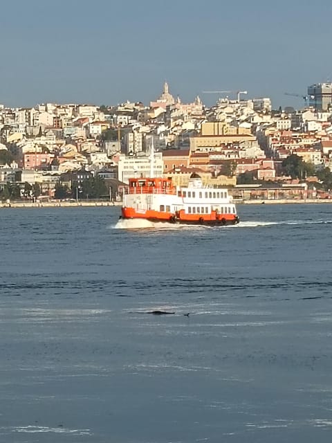 Lisbon: Belem, Jeronimos Monastery, and Coach Museum Tour - National Coach Museum: A Surprise Stop You Should Not Skip