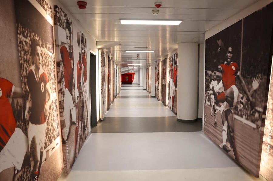 Lisbon: Benfica Luz Stadium Tour with Souvenir Scarf - Press Conference Room and Hall of Fame: match-week energy in real rooms