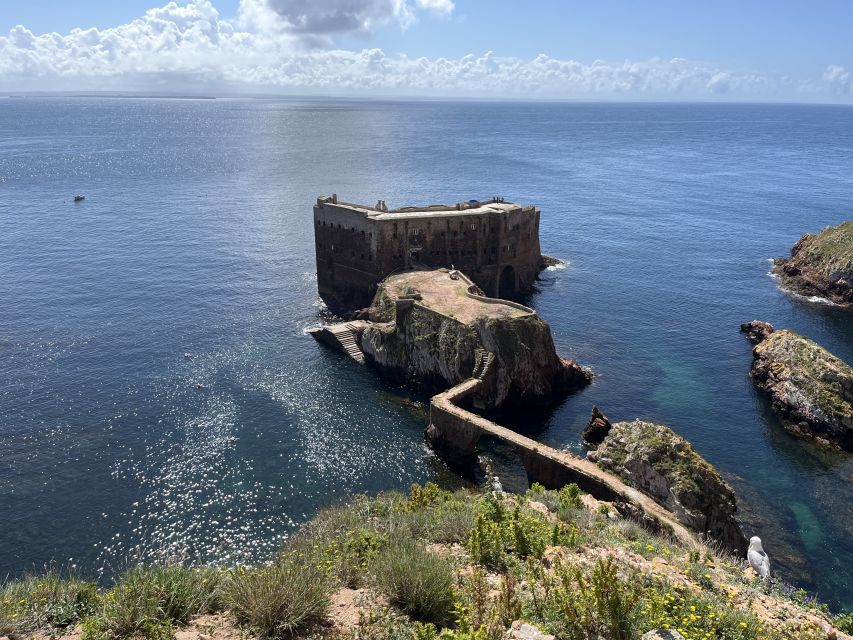 Lisbon: Berlenga Islands, Peniche & Óbidos Tour - Berlenga Islands, UNESCO Biosphere Reserve: the day’s real star