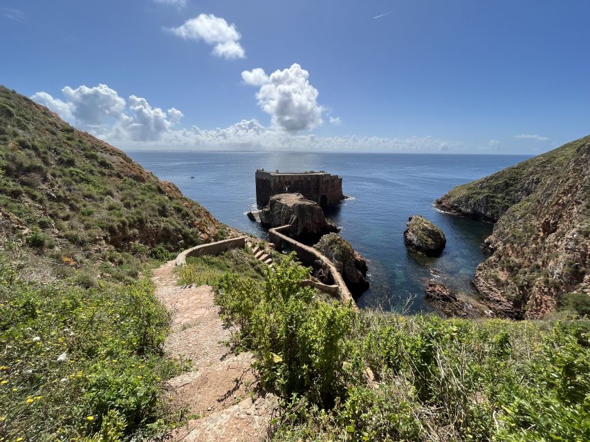 Lisbon: Berlenga Islands, Peniche & Óbidos Tour - Lunch and free time back in Peniche: reset before Óbidos
