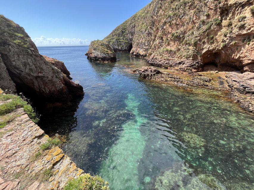 Lisbon: Berlenga Islands, Peniche & Óbidos Tour - Peniche stop: the calm before the boat run