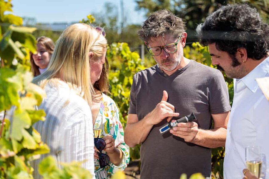 Lisbon: Carcavelos Vineyard Tour and Wine Tasting - Quick highlights at Quinta da Corrieira