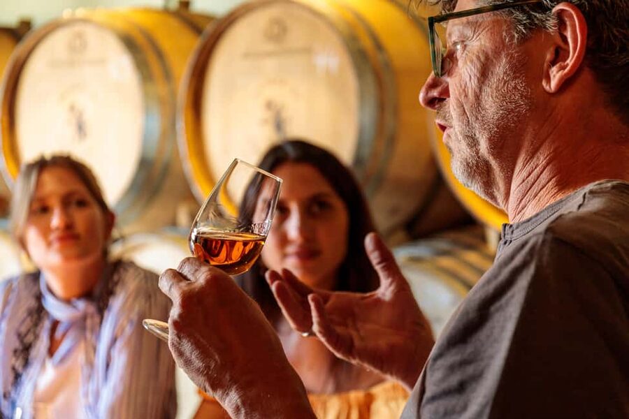 Lisbon: Carcavelos Vineyard Tour and Wine Tasting - Your guide and the small-group feel