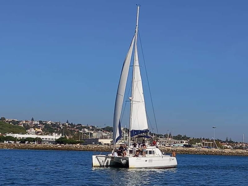 Lisbon: Catamaran Cruise with Drinks & Pastel de Nata - Lisbon landmarks from the water, in the order you’ll see them