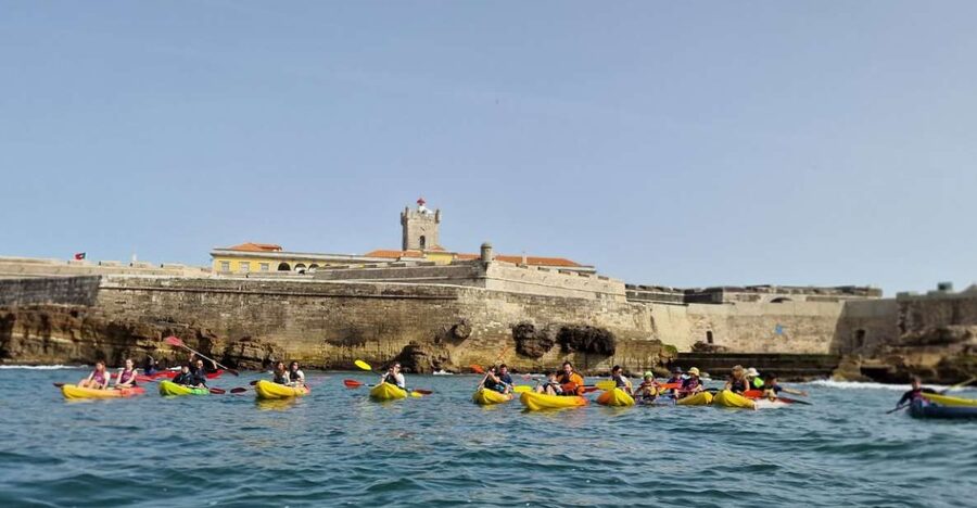 Lisbon: Coast Guided Kayak Tour - Key reasons this Lisbon coast kayak tour is worth your time