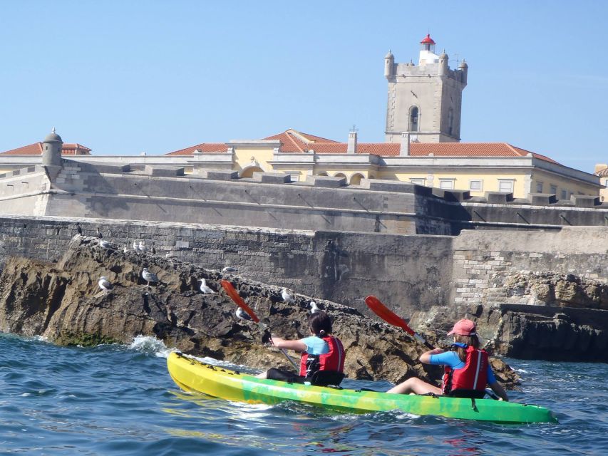 Lisbon: Coast Guided Kayak Tour - Paddling basics: your 2 hours start with skills, not stress