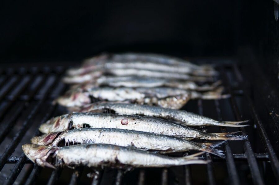 Lisbon: Cruise to the Beach with BBQ, Open Bar and Music - Tagus River BBQ Cruise: what you’re really buying