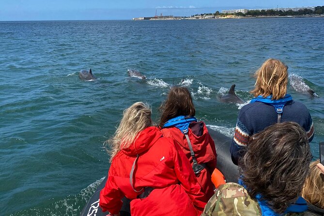 Lisbon: Dolphin Watching with Marine Biologist - Small Group - Cruising the Tagus River: Where Fast Boat Time Turns Into Real Views