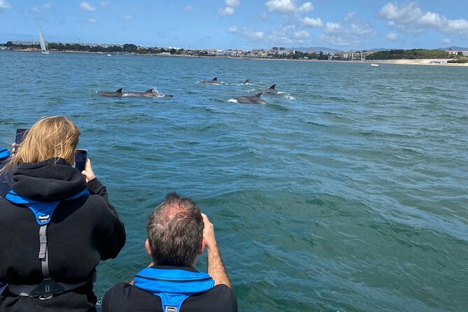 Lisbon: Dolphin Watching with Marine Biologist - Small Group - Marine Biologist On Board: What Makes This Trip More Than Spotting Fins