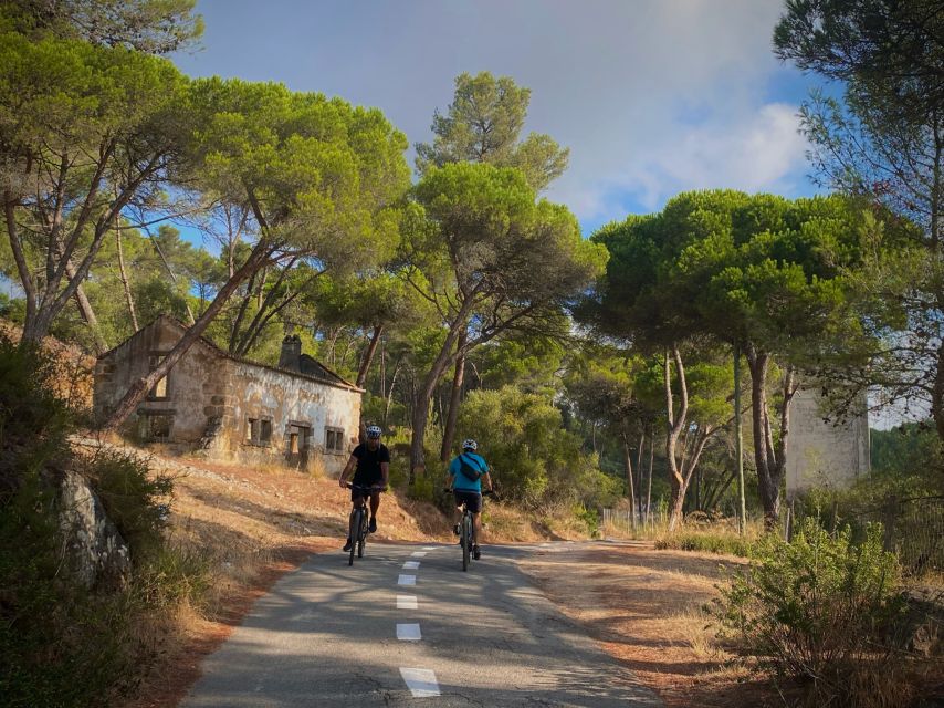 Lisbon: E-bike Trip from the Sintra Mountains to Cascais Sea - Key things that make this Sintra-to-Cascais e-bike ride work
