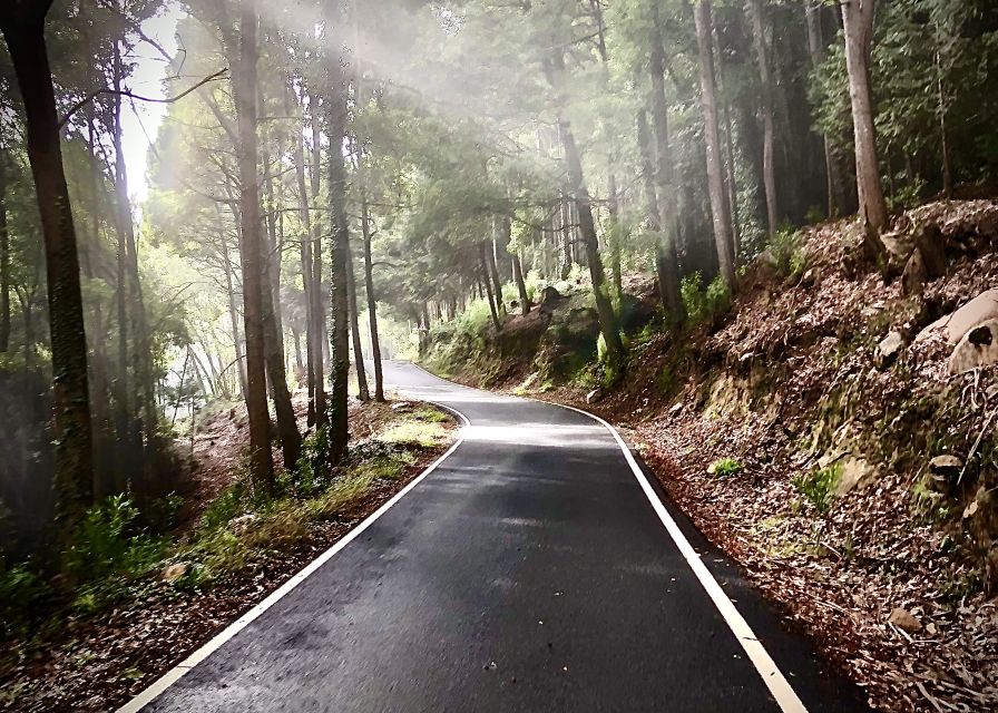 Lisbon: E-bike Trip from the Sintra Mountains to Cascais Sea - Sheep Trails and Gardens You Can Actually Notice