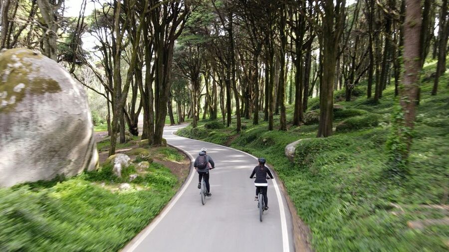 Lisbon: E-bike Trip from the Sintra Mountains to Cascais Sea - Cascais Market Start and the Real Bosch Motor Advantage