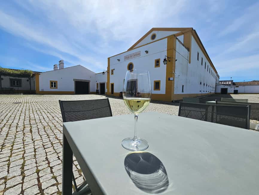 Lisbon: Évora (w/ Cathedral & Bones), Cartuxa & Cork Factory - Price and value: is $105 a smart buy?