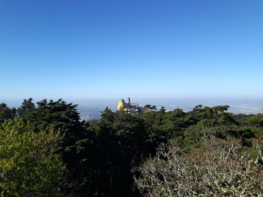 Lisbon: Half-Day Sintra Tour with Pena Palace and Regaleira - Quinta da Regaleira: UNESCO symbols, tunnels, and the descent theme