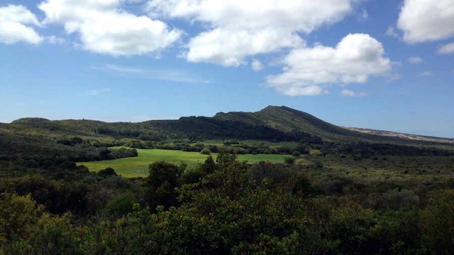 Lisbon: Hiking in Arrábida Natural Park - Meet Your Guide: How Francisco and Henrique Make the Trail Click