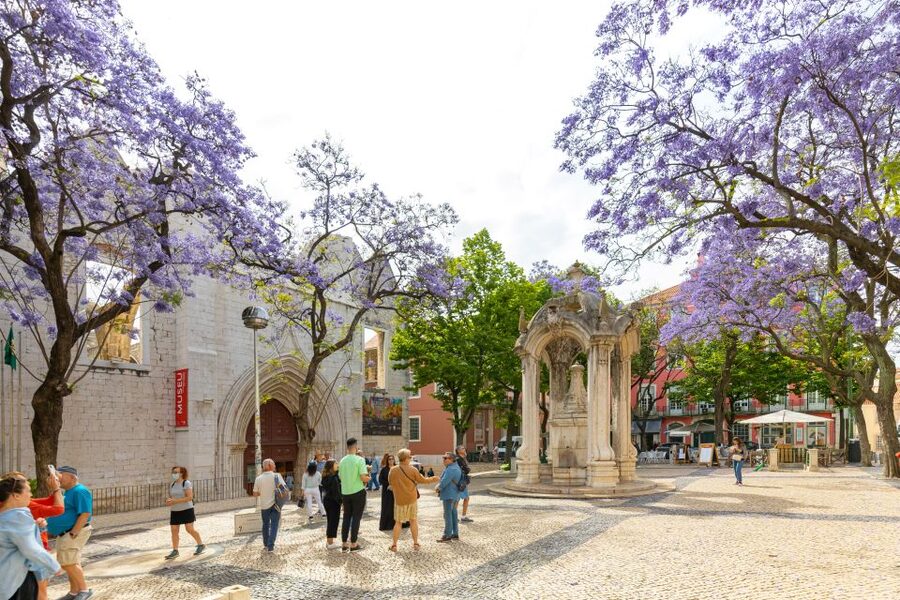 Lisbon: History, Stories and Lifestyle Walking Tour - Santa Justa Elevator and Baixa, getting your bearings in style