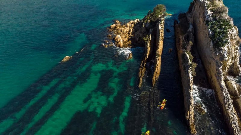 Lisbon: Kayak Tour Arrábida Natural Park, Setubal, Sesimbra - Anicha Island: watching marine life up close, not just from afar