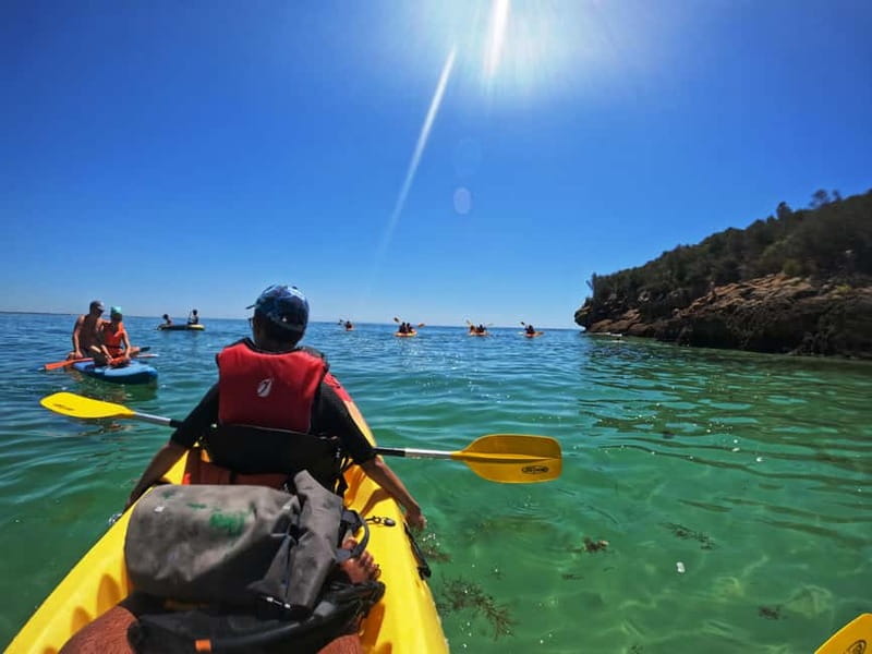 Lisbon: Kayaking & Snorkeling Tour with photos included - Arrábida Natural Park Coastline: What the Paddling Really Feels Like