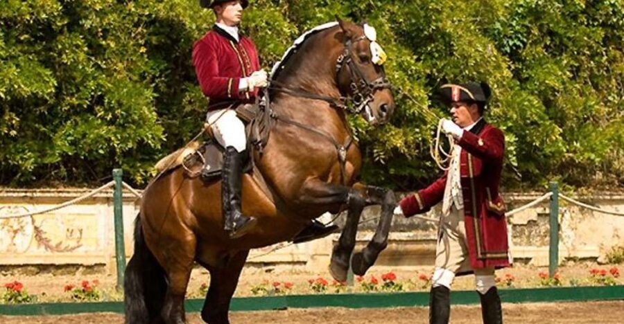 Lisbon: Morning of Equestrian Art with Lusitano Horses - Morning in Period Costume: What You Actually Watch at the Rings
