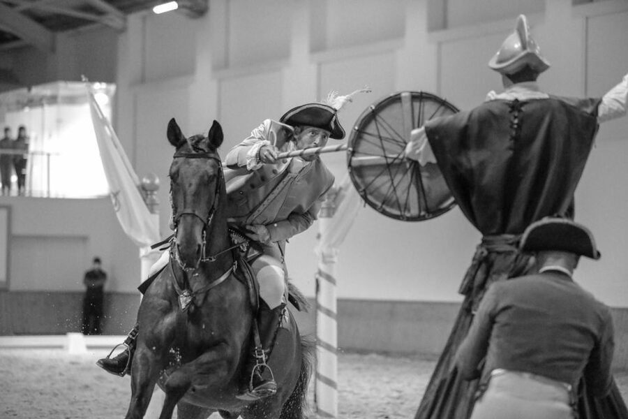 Lisbon: Morning of Equestrian Art with Lusitano Horses - What I’d Do Differently to Get More Out of It