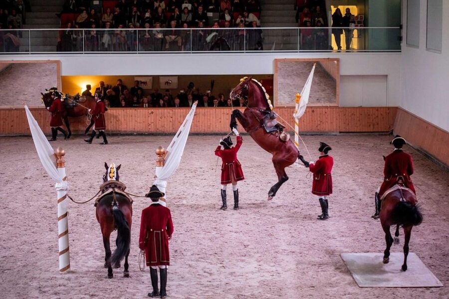 Lisbon: Morning of Equestrian Art with Lusitano Horses - Henrique Calado Riding Ring: Handlers, Warm-ups, and Real Work