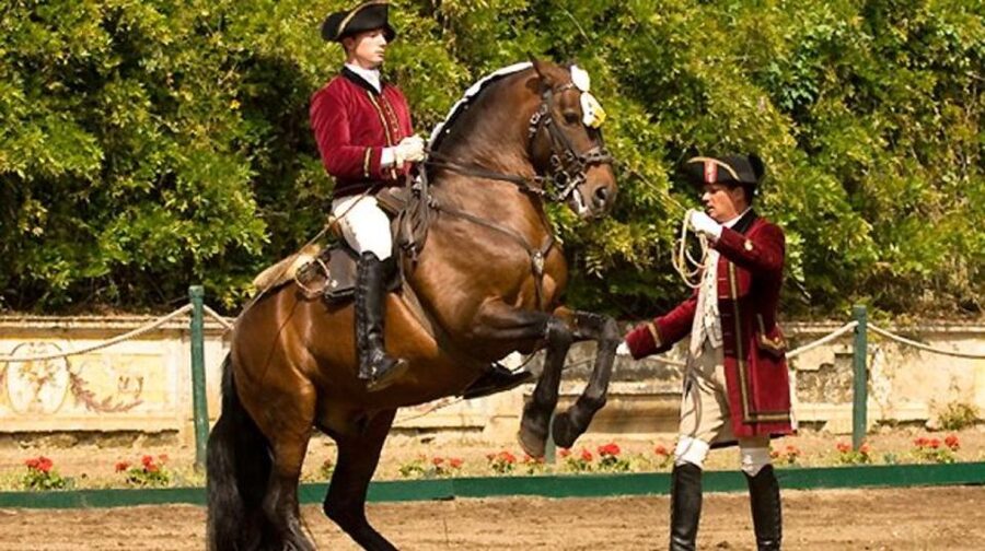 Lisbon: Morning of Equestrian Art with Lusitano Horses - The Audio Guide: Your Best Companion in English, French, or Portuguese