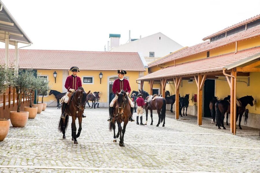 Lisbon: Morning of Equestrian Art with Lusitano Horses - Timing in Lisbon: 11:00 to 12:30 Is the Sweet Spot