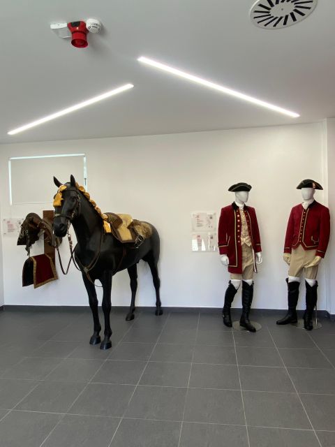 Lisbon: Morning of Equestrian Art with Lusitano Horses - Tickets and the Check-In Reality (So You Don’t Lose Time)