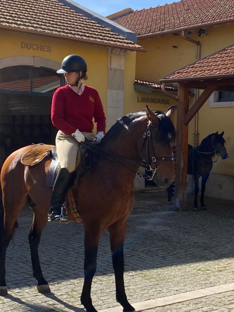 Lisbon: Morning of Equestrian Art with Lusitano Horses - Who This Lisbon Experience Fits Best