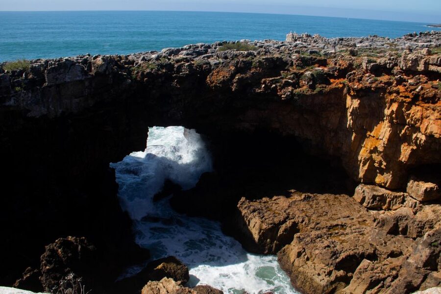 Lisbon Natural Coastal Adventure - Cascais: Town Views, Fishy Energy, and Easy Wandering